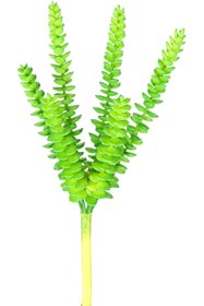 Resim Herdekora Yapay Kaktüs Sukulent Yeşil 26 Cm 