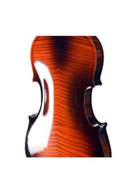 Resim Manuel Raymond Mrv44flm Orta Seviye Keman Seti 4/4 Hareli Har 