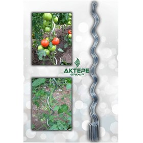 Resim 20 Adet 150 Cm Spiral Bitki Destek Teli Sarmal Çiçek Teli Fidan Çubuğu 
