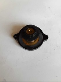 Resim OTO BEK Ford Taunus Radyatör Kapak 
