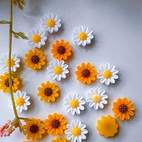 Resim 20 Adet Canlı Papatya ve Ayçiçeği Tırnak Sanatı Süsleri - El Yapımı Reçine Çiçek Dekorasyonları Manikürler, Telefon Kılıfları ve Çantalar için, Beyaz & Sarı Çiçekli Kendin Yap Aksesuarlar Kahverengi Merkezli, Tırnak Sanatı Malzemeleri 