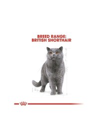 Resim Canin British Shorthair Adult Kedi Maması, 4 Kg 
