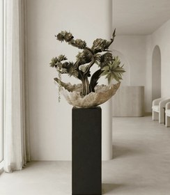 Resim Zen Aman sukulent aranjman-Lava koleksiyonu 