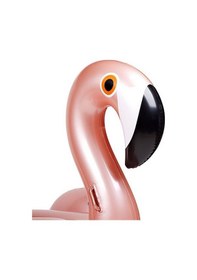 Resim Flamingo Şişme Binici 