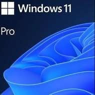 Resim MS WINDOWS 11 PRO TR KUTU HAV-00159 