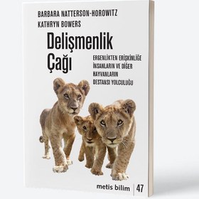 Resim Delişmenlik Çağı 
