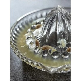 Resim Uslucan Alışveriş Cam Limon Sıkacağı 