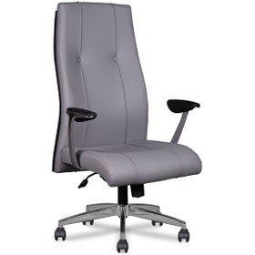 Resim Ekip Ofis Yönetici ve Müdür Koltuğu 