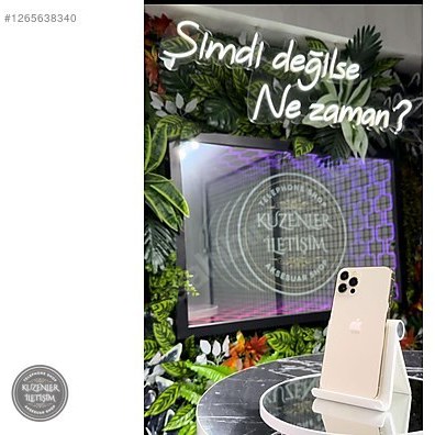 Altın