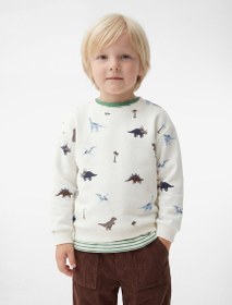 Resim Erkek Bebek Pamuklu Uzun Kollu Bisiklet Yaka Dinozor Baskılı Sweatshirt 