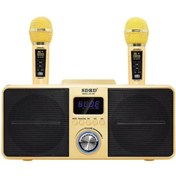 Resim SDRD SD309 Kablosuz Bluetooth Karaoke Mikrofonu Golden 