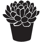 Resim Byr002 Saksı Çiçeği Kaktüs Tip 1 60x66 Cm Efsngrck 