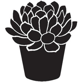 Resim Byr002 Saksı Çiçeği Kaktüs Tip 1 60x66 Cm Efsngrck 