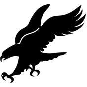 Resim Avlanan Kartal - Araç, Oto, Laptop, Duvar Uyumlu Sticker 15 13 Cm 