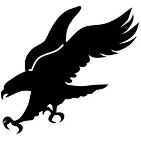 Resim Avlanan Kartal - Araç, Oto, Laptop, Duvar Uyumlu Sticker 15 13 Cm 