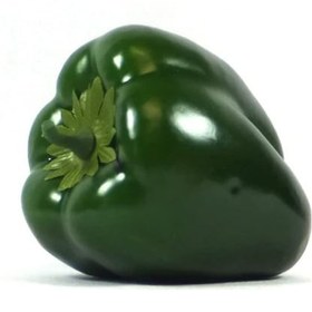 Resim Yapay Yeşil California Biber Dolma Biber 1Adet 10x7 Cm Gerçek Boy 