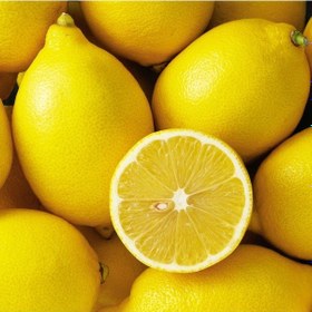 Resim Tüplü Dayanıklı Yarı Bodur Mayer Sulu Limon Fidanı 
