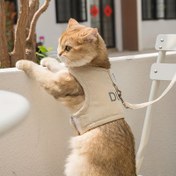 Resim Yansıtıcı Kedi Tasma ve Tasma Seti Güvenli Açık Hava Yürüyüşü ve Seyahat için - Çekiş Tasarımı Yok 