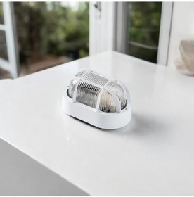 Resim Duvar Lambası Oval Beyaz Ip44 Beyaz 