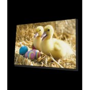 Resim Marsilyan- Sarı Ördekler 