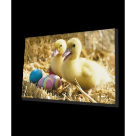 Resim Marsilyan- Sarı Ördekler 