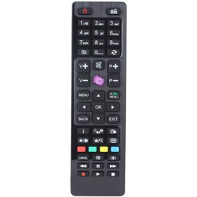 Resim Regal Lcd Led Tv Kumandası Küçük Mor Tuşlu 