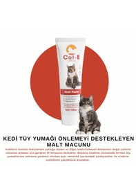 Resim Amica Cat-e Malt Paste Tüy Yumağı Önlemeyi Destekleyen Malt Macunu 