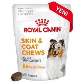 Resim Skin&coat Chews Deri Ve Tüy Sağlığını Destekleyen Tamamlayıcı Ödül Maması 240g 