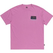 Resim Quiksilver Spin Cycle Erkek Pembe Tişört 
