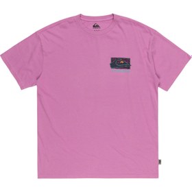 Resim Quiksilver Spin Cycle Erkek Pembe Tişört 