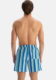 Resim Dagi Erkek Swimwear 26sw46028dk 
