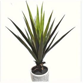 Resim 1 adet Yapay Bitki, Gerçek Dokunuşlu Sukulent Ev Bitkisi, 27.16" Yapay Zemin Bitkisi Saksılı, Agave Gerçekçi Tropikal Ev Ofis Dekoru 