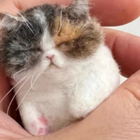Resim Sevimli Kedi İğne Yün Kitası Başlangıçlar İçin - Enjeksiyon Araçları, Pedler, Fiber ve Detaylı Talimatlar Dahil - El Sanatları Yetişkinleri ve Hayvan Severleri İçin Mükemmel, El Sanatları Kiti|Kolay El Sanatları Kiti|Detaylı Talimatlar 