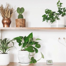 Resim Dijital Termo-Higrometre Ortam Nem ve Sıcaklık Ölçer 30.5055.02 