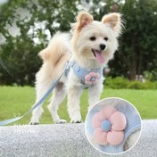 Resim 2 Köpek Kama ve Kayışı Seti - Sevimli Çiçek Deseni, Rahat Dolgulu Nefes Alabilen File Kama, Küçükten Orta Boy Köpekler ve Kediler İçin Yansıtıcı, Güvende Yürüyüşler İçin, Pil Olmadan 