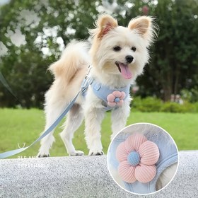 Resim 2 Köpek Kama ve Kayışı Seti - Sevimli Çiçek Deseni, Rahat Dolgulu Nefes Alabilen File Kama, Küçükten Orta Boy Köpekler ve Kediler İçin Yansıtıcı, Güvende Yürüyüşler İçin, Pil Olmadan 