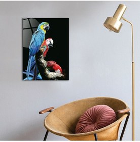 Resim Decorita Hayvanlar | Cam Tablo | Renkli Papağanlar 