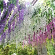 Resim 10 adet/20 adet Yapay Wisteria Asma Kumaş Çiçek Asma Süsü Düğün Parti Ev Dekorasyonu Yeşil Duvar Tavan Çiçek Süsü, Düğünler İçin Mükemmel Asma Süs, Partiler, Doğum Günleri, Noel ve Aileler İçin Uygun 