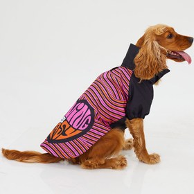 Resim Köpek Yağmurluk - Raincoat Series - Love - 0 (XS) 