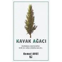 Resim Kavak Ağacı 