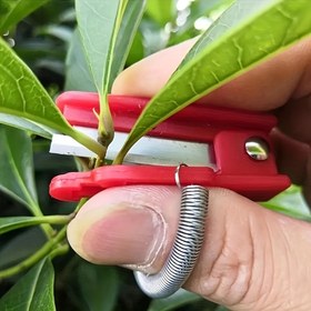 Resim Çok Fonksiyonlu Bahçe Başparmak Bıçağı - Paslanmaz Çelik Bıçak, Meyve ve Sebze Toplama, Dal Budama ve Yaprak Temizleme için Uygun, Çiftliklerde, Bahçelerde ve Bağlarda 
