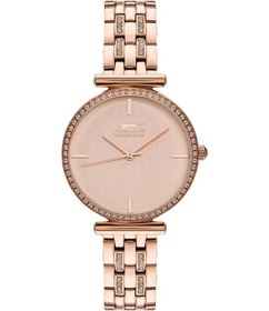 Resim Slazenger Watches Sl.09.6527.3.02 Kadın Kol Saati 