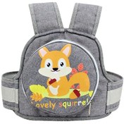 Resim Gri Çocuk Düşme Önleyici Emniyet Kemeri Kullanım Seti 