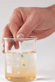 Resim HALL BREATHE Yerli pH test kağıdı, metre, 0-14 ölçüm aralığı ile doğru ve güvenilir ölçüm 