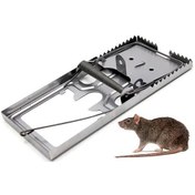 Resim Beşel Fare Tuzağı Yaylı Fare Kapanı 8X17 Cm 