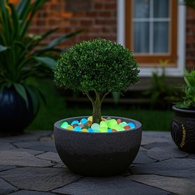 Resim Bahçe, Alan ve Yol Dekoru için 100 adet Canlı Parlayan Taş - Dayanıklı Plastik, Gece Işığında Parlayan Mini Taşlar, Açık Hava Sanat Sergisi, Giriş Aksesuarı ve Peyzaj Geliştirme, Bahçe Yolu Aydınlatması|Dekoratif Taşlar|Dayanıklı Plastik, Bahçe Dekorasyonları 