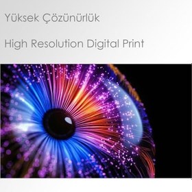 Resim Albert Einstein Laptop Sticker 10 İnch (25X19CM) 