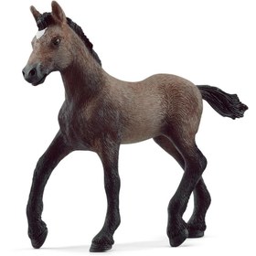 Resim Schleich Paso Peruano Tayı 13954 