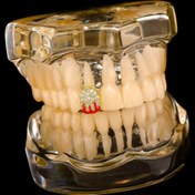 Resim RICH ONE AND ONLY GRILLZ NO.8 (Ön Sipariş) 