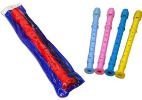 Resim Manuel Raymond DR08 Blok Flüt | Okul Tipi Soprano Tasarım, Hijyenik Plastik Kılıflı, Alman ve Japon Sistemine Uygun Eğitim Flütü 